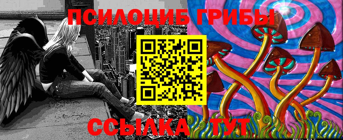 Псилоцибиновые грибы Psilocybe Краснокаменск